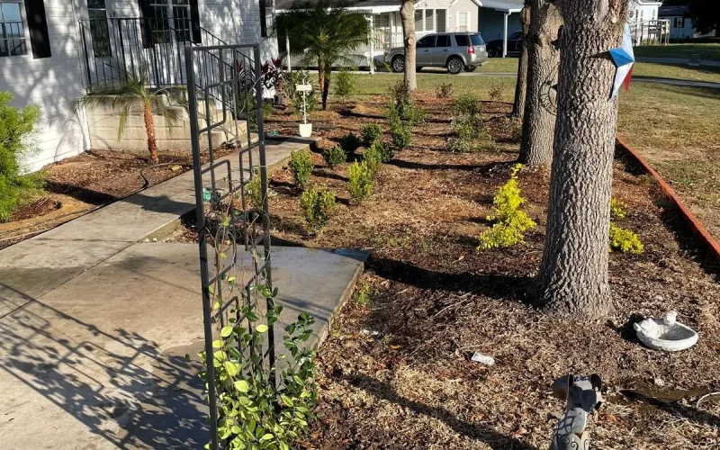 Landscape Design (25)